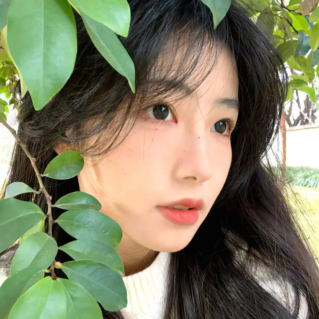 艳光舞男转
